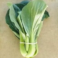 Bok Choy