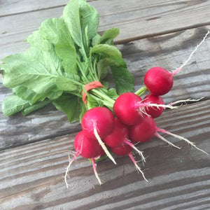 Radish Bunch