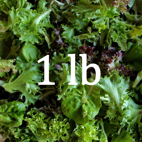 Salad Mix - 1 lb